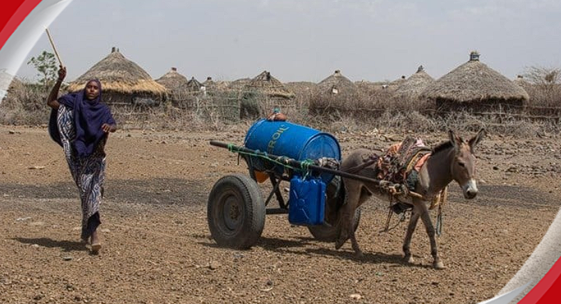 Climate Investment Funds board backs $500m Ethiopia nature plan